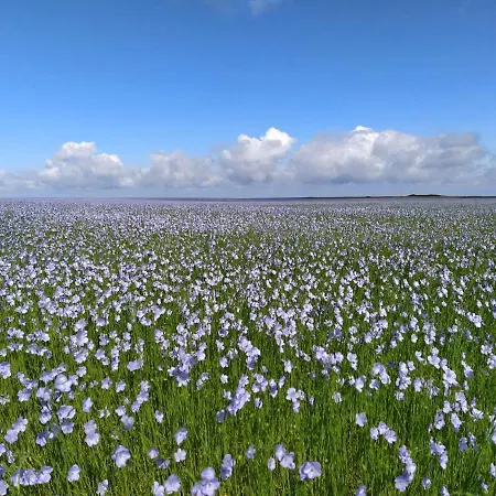 Sentier Des Falaises *