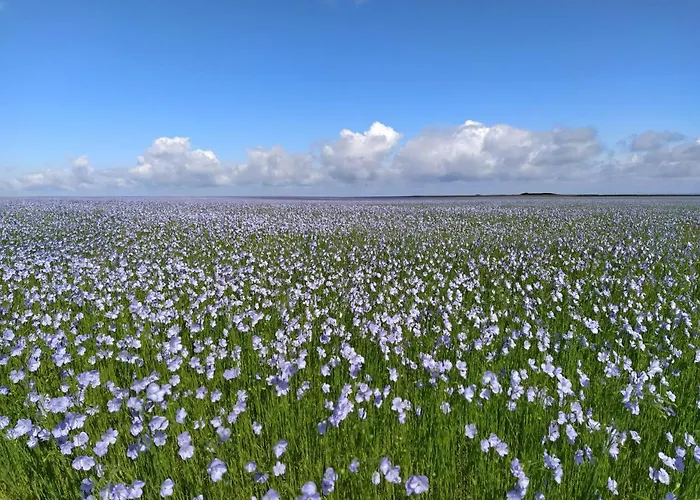 Sentier Des Falaises *